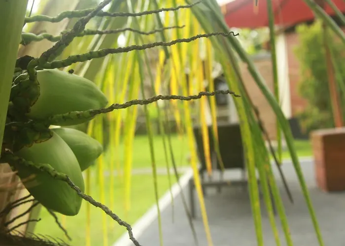Dhiari Ubud