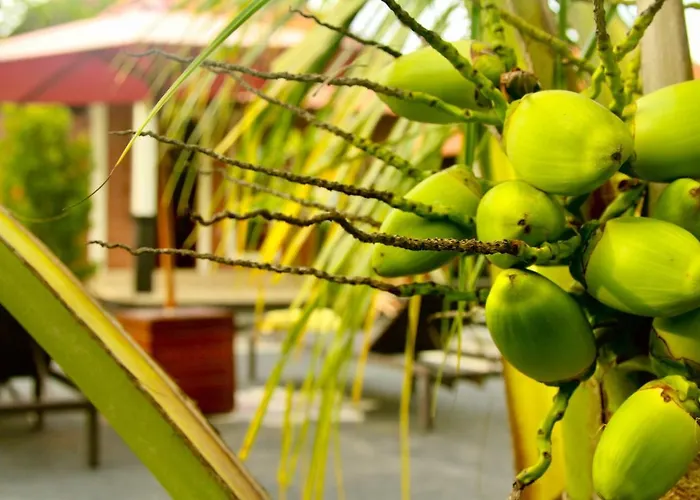 Dhiari Gasthof Ubud